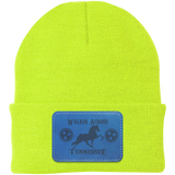 WALKIN ACROSS TENNESSEE TWH CP90 Knit Cap - Patch