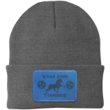 WALKIN ACROSS TENNESSEE TWH CP90 Knit Cap - Patch