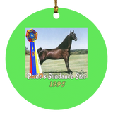 WGC PRIDES SUNDANCE STAR SUBORNC Circle Ornament
