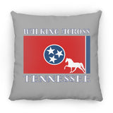 Walking Across Tennessee (Pleasure) ZP16 Medium Square Pillow
