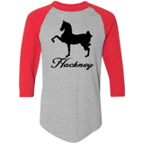 HACKNEY DESIGN 1 (black) 4HORSE 4420 Colorblock Raglan Jersey