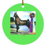 WGC COINS HARD CASH SUBORNC Circle Ornament