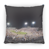 THE BIG OVAL TWHNC PILLOWS THREE SIZES