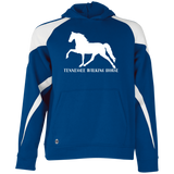 Tennessee Walker 4HORSE 229646 Youth Athletic Colorblock Fleece Hoodie