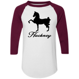 HACKNEY DESIGN 1 (black) 4HORSE 4420 Colorblock Raglan Jersey
