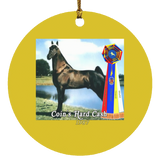 WGC COINS HARD CASH SUBORNC Circle Ornament