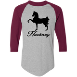 HACKNEY DESIGN 1 (black) 4HORSE 4420 Colorblock Raglan Jersey