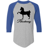 HACKNEY DESIGN 1 (black) 4HORSE 4420 Colorblock Raglan Jersey