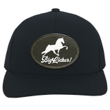 BIG LICKER OVAL 104C Trucker Snap Back - Patch