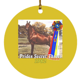 WGC PRIDES SECRET THREAT SUBORNC Circle Ornament