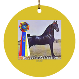 WGC RODGERS PERFECTION SUBORNC Circle Ornament