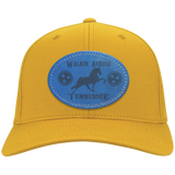WALKIN ACROSS TENNESSEE TWH CP80 Twill Cap - Patch