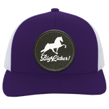 BIG LICKER PATCH HATTRUCKER HAT ( THREE SHAPES-12 COLORS AND STYLES)