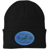 WALKIN ACROSS TENNESSEE TWH CP90 Knit Cap - Patch