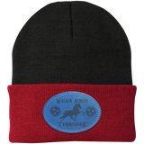 WALKIN ACROSS TENNESSEE TWH CP90 Knit Cap - Patch