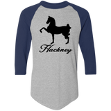 HACKNEY DESIGN 1 (black) 4HORSE 4420 Colorblock Raglan Jersey