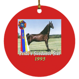 WGC PRIDES SUNDANCE STAR SUBORNC Circle Ornament