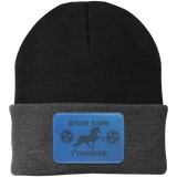 WALKIN ACROSS TENNESSEE TWH CP90 Knit Cap - Patch